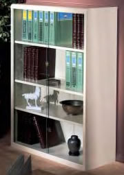 All Steel Bookshelves With Optional Glass Door.