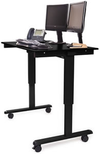 Electric Standing Desk.