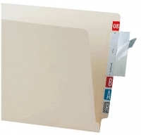 Clear, wrap-around, self-adhesive label protectors.