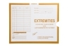 Extremities, X Ray Jacket Film Inserts, Color Yellow.