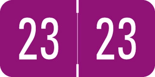 afs-vre-gbs-purple-vrym-23-t4