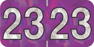 holog-purple-hpym-23-t4