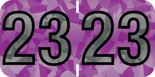 2023-PMA-Match-Holographic-Year-Label-Purple-97623