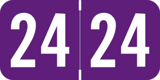 acme-purple-acym-24-t4