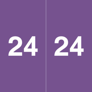 ames-purple-aeym-24-l5