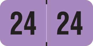 pma-violet-fvym-24-t4
