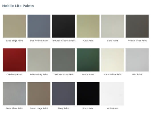 Available paint options.
